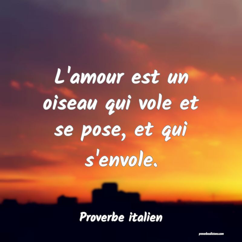 L'amour est un oiseau qui vole et se pose, et qui s'envole.