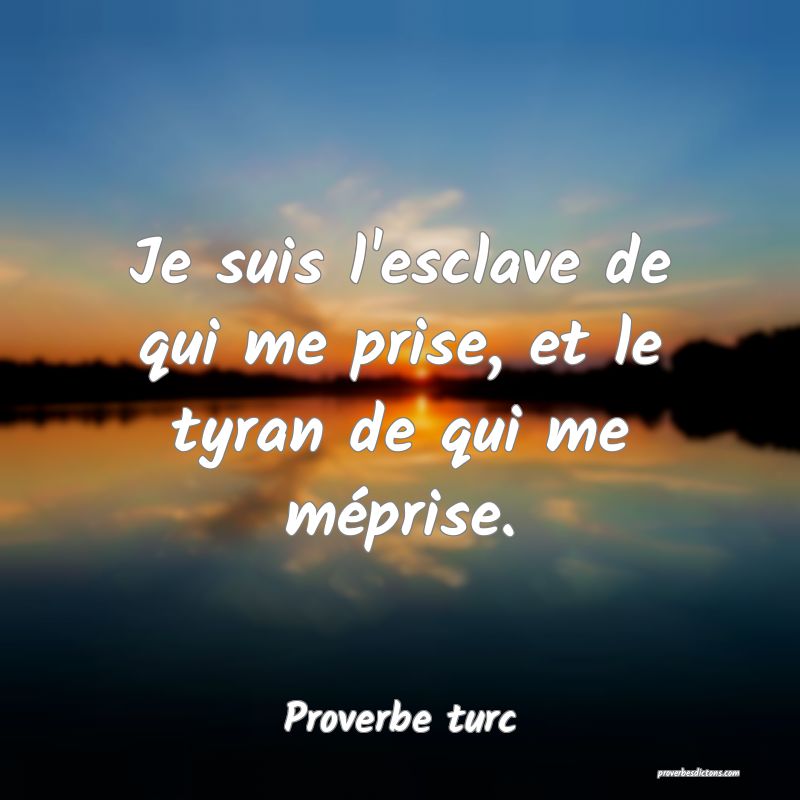 Je suis l'esclave de qui me prise, et le tyran de qui me méprise.