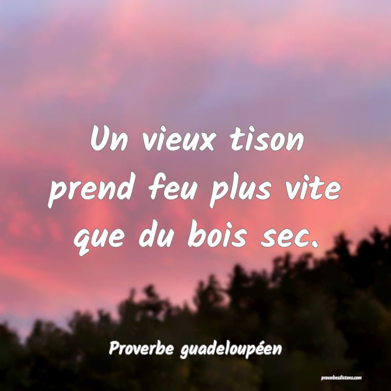 Un vieux tison prend feu plus vite que du bois sec.