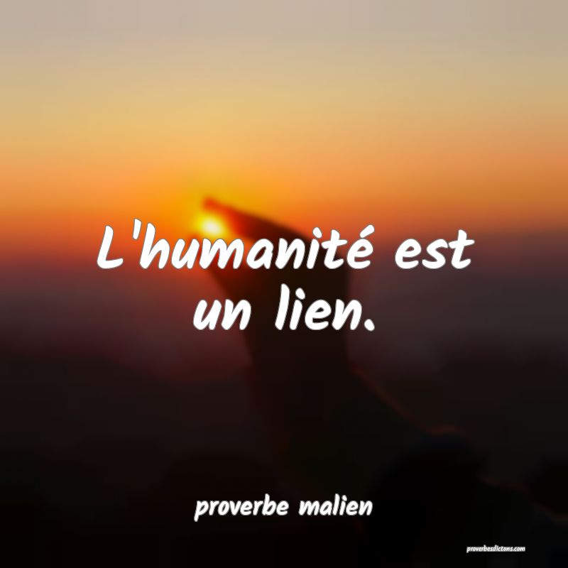  L'humanité est un lien.
