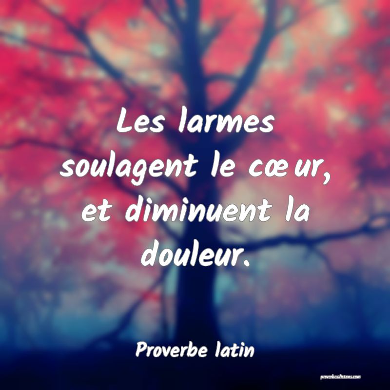 Les larmes soulagent le cœur, et diminuent la douleur.
