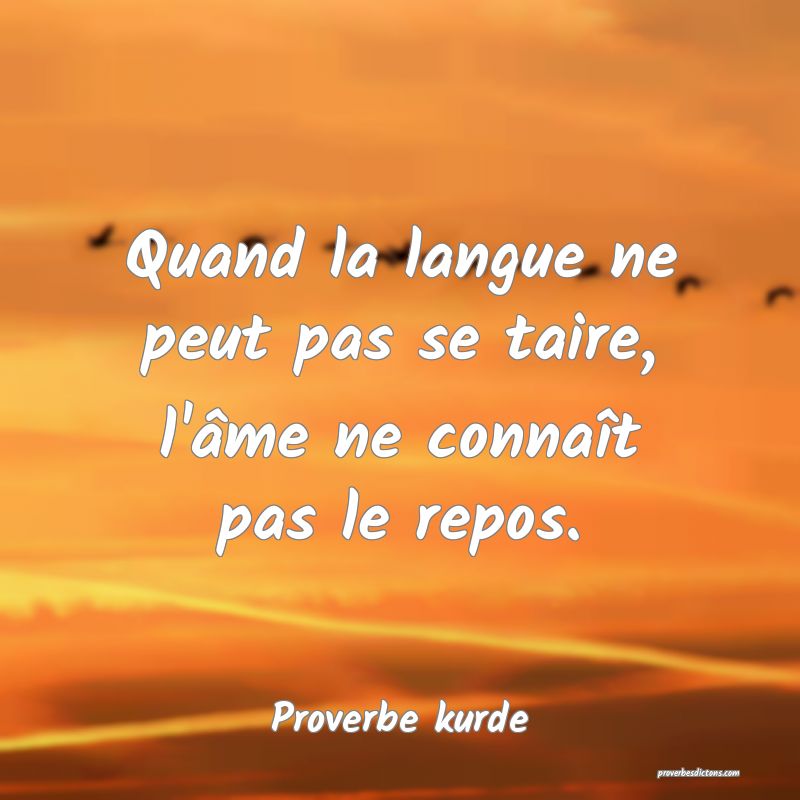 Quand la langue ne peut pas se taire, l'âme ne connaît pas le repos.