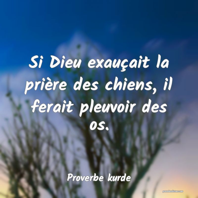 Si Dieu exauçait la prière des chiens, il ferait pleuvoir des os.