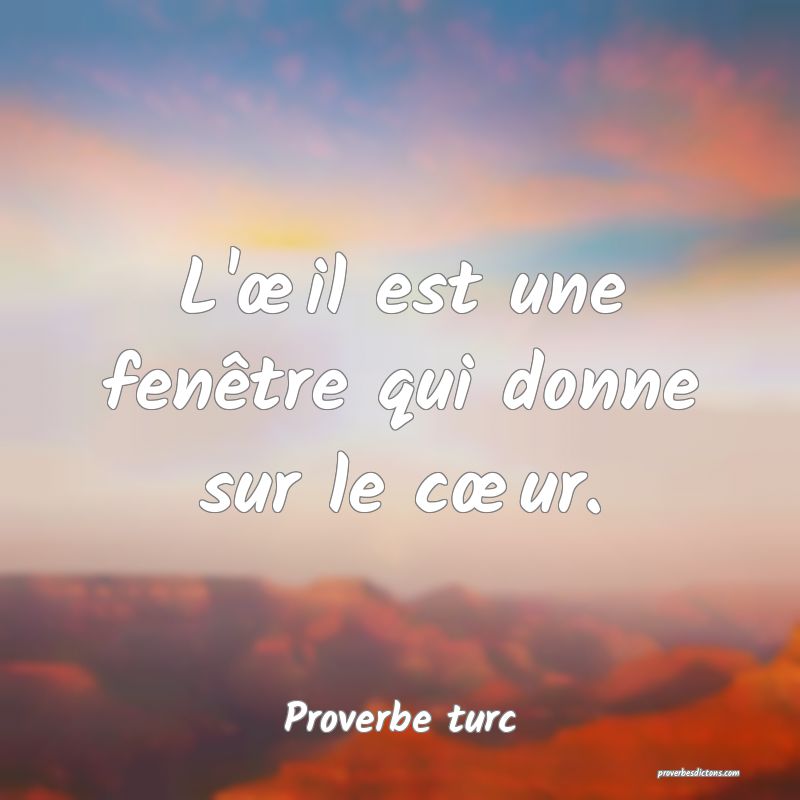 L'œil est une fenêtre qui donne sur le cœur.