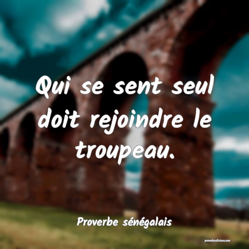 Qui se sent seul doit rejoindre le troupeau.