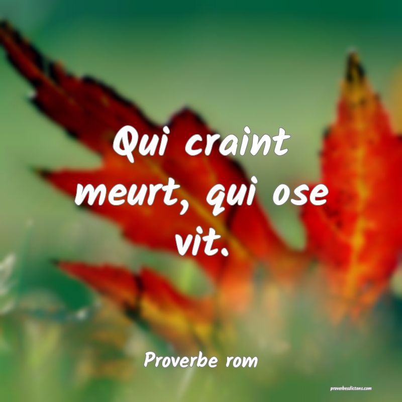 Qui craint meurt, qui ose vit.