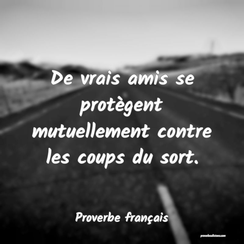 De vrais amis se protègent mutuellement contre les coups du sort.
