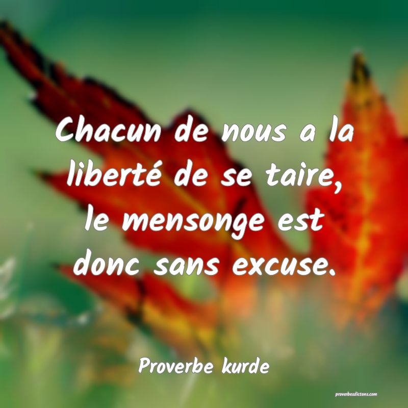 Chacun de nous a la liberté de se taire, le mensonge est donc sans excuse.