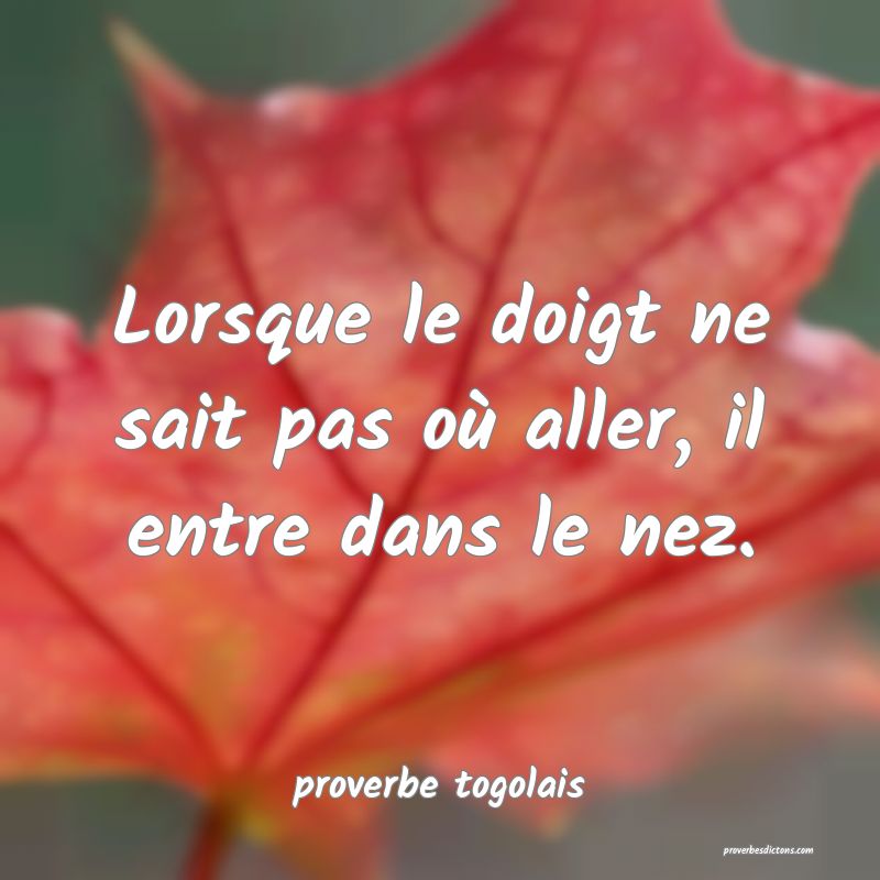  Lorsque le doigt ne sait pas où aller, il entre dans le nez.