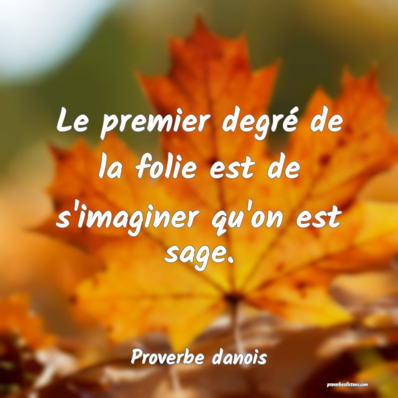 Le premier degré de la folie est de s'imaginer qu'on est sage.