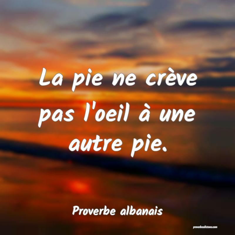 La pie ne crève pas l'oeil à une autre pie.