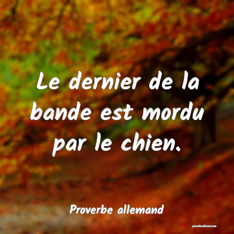 Le dernier de la bande est mordu par le chien.