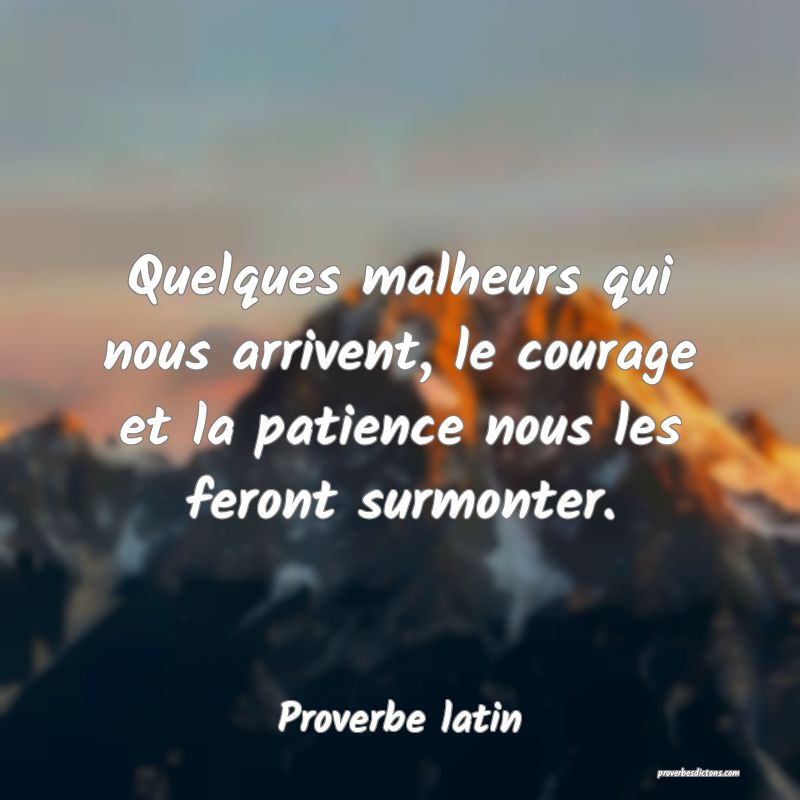 Quelques malheurs qui nous arrivent, le courage et la patience nous les feront surmonter.