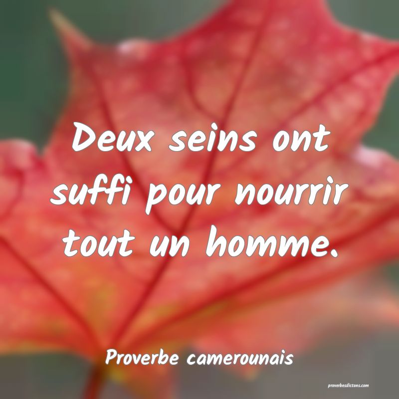 Deux seins ont suffi pour nourrir tout un homme.