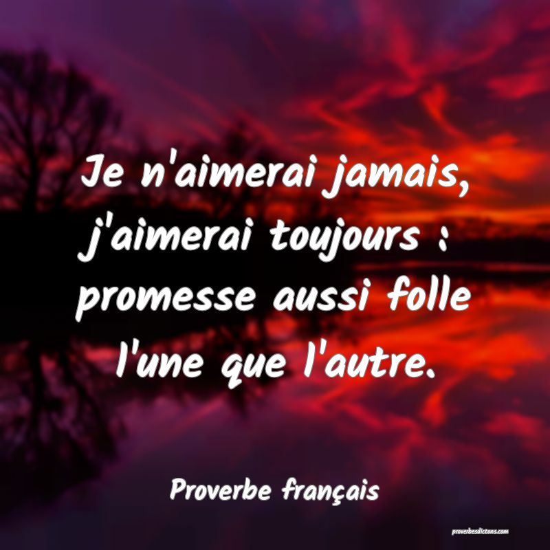 Je n'aimerai jamais, j'aimerai toujours : promesse aussi folle l'une que l'autre.