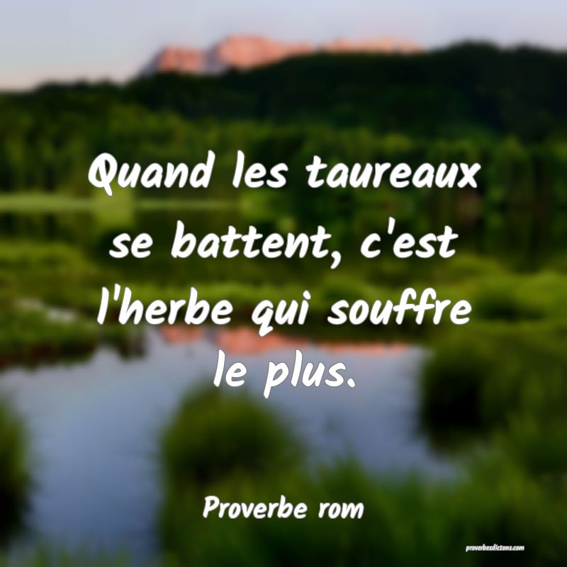 Quand les taureaux se battent, c'est l'herbe qui souffre le plus.