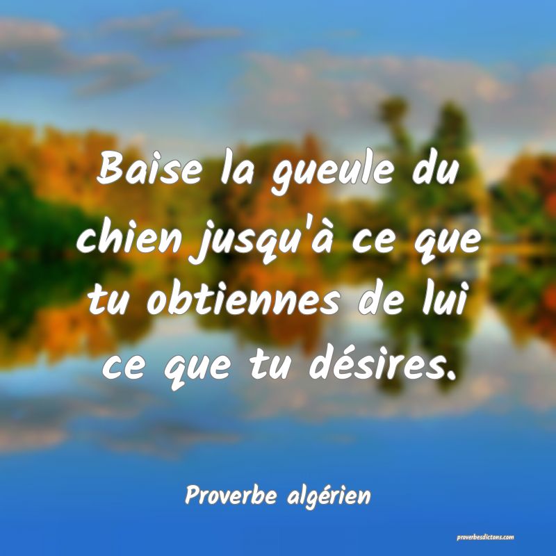 Baise la gueule du chien jusqu'à ce que tu obtiennes de lui ce que tu désires.