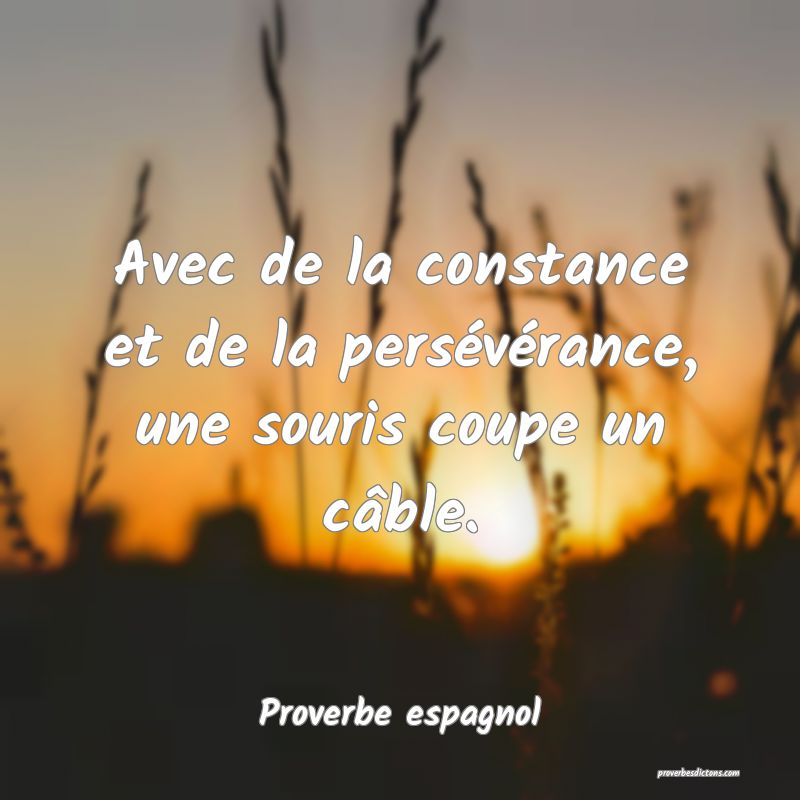 Avec de la constance et de la persévérance, une souris coupe un câble.
