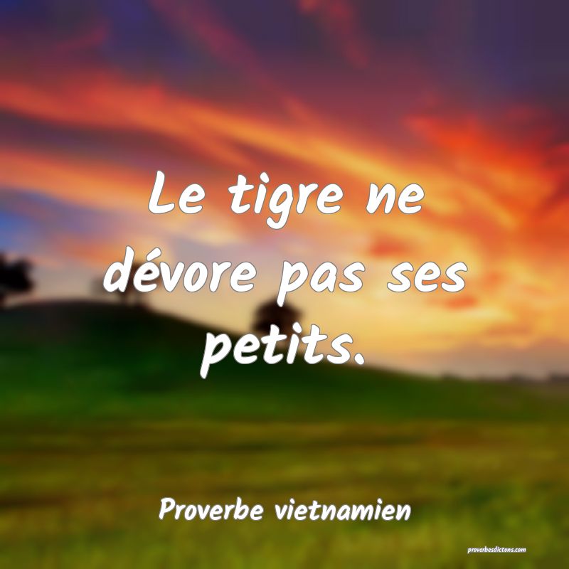  Le tigre ne dévore pas ses petits.