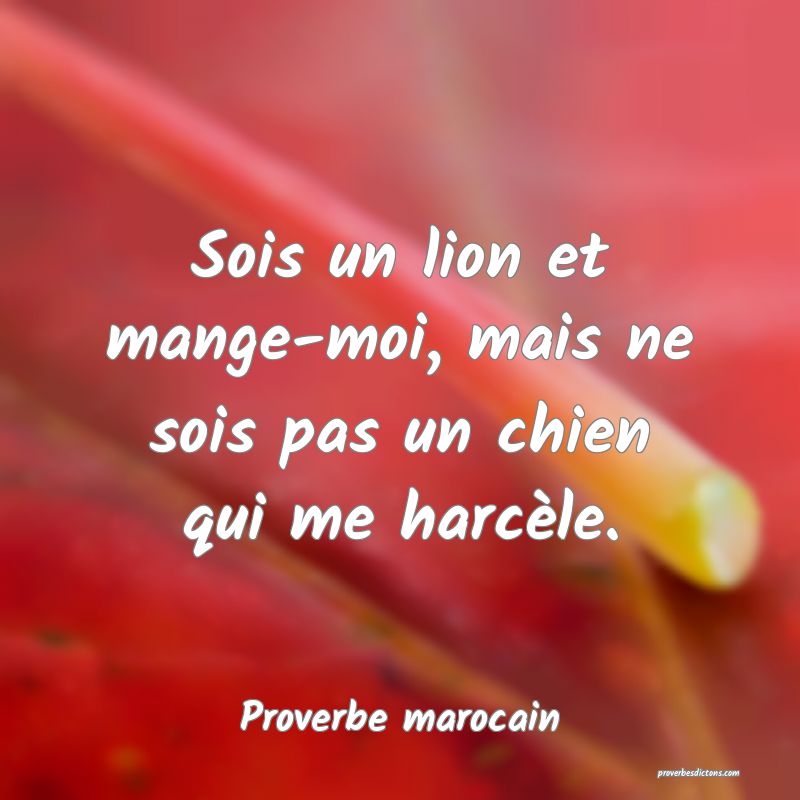 Sois un lion et mange-moi, mais ne sois pas un chien qui me harcèle.