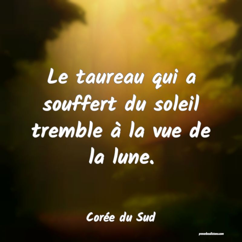  Le taureau qui a souffert du soleil tremble à la vue de la lune.