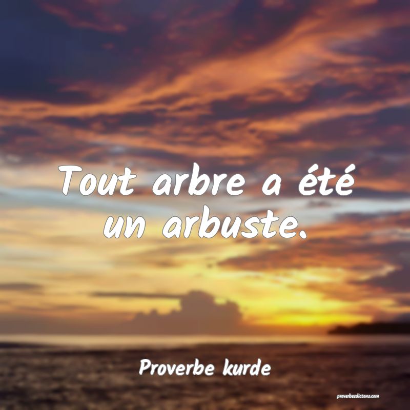 Tout arbre a été un arbuste.