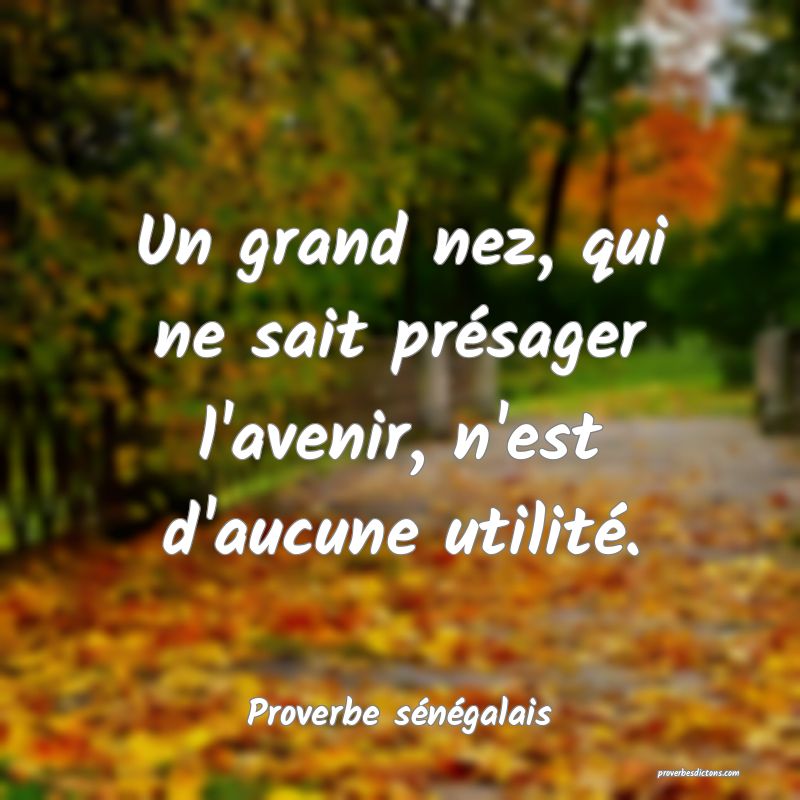 Un grand nez, qui ne sait présager l'avenir, n'est d'aucune utilité.