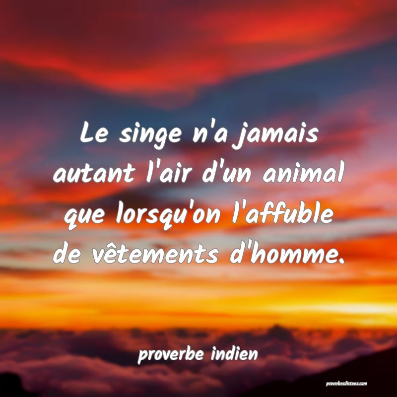  Le singe n'a jamais autant l'air d'un animal que lorsqu'on l'affuble de vêtements d'homme.