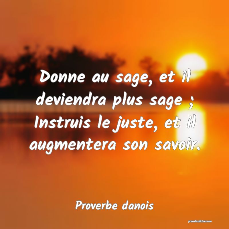 Donne au sage, et il deviendra plus sage ; Instruis le juste, et il augmentera son savoir.