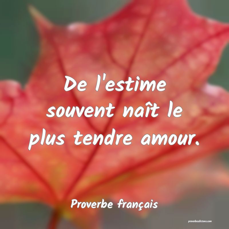 De l'estime souvent naît le plus tendre amour.