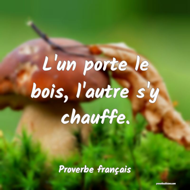 L'un porte le bois, l'autre s'y chauffe.