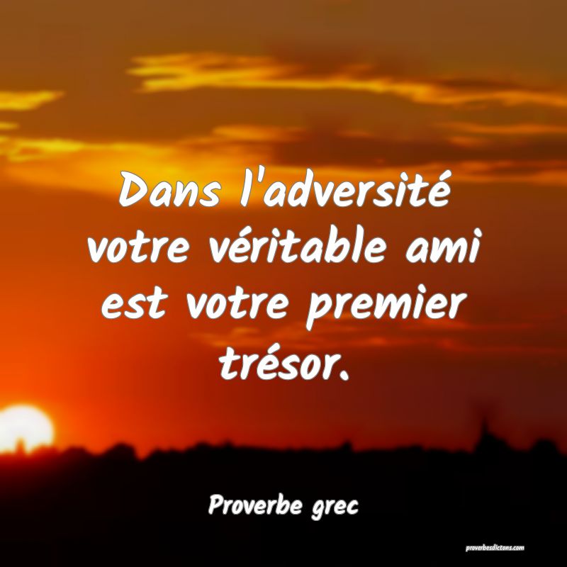 Dans l'adversité votre véritable ami est votre premier trésor.