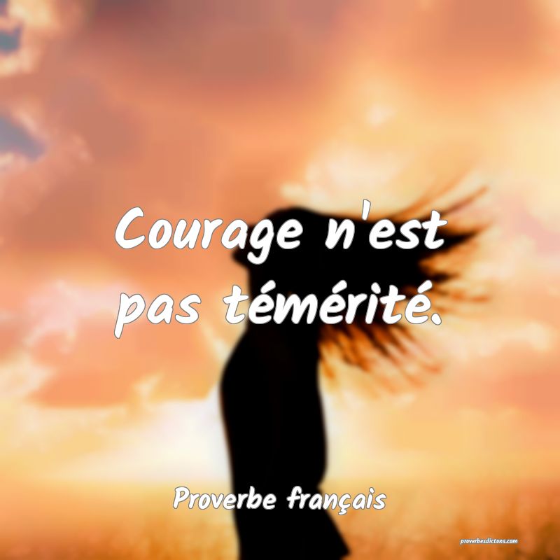 Courage n'est pas témérité.