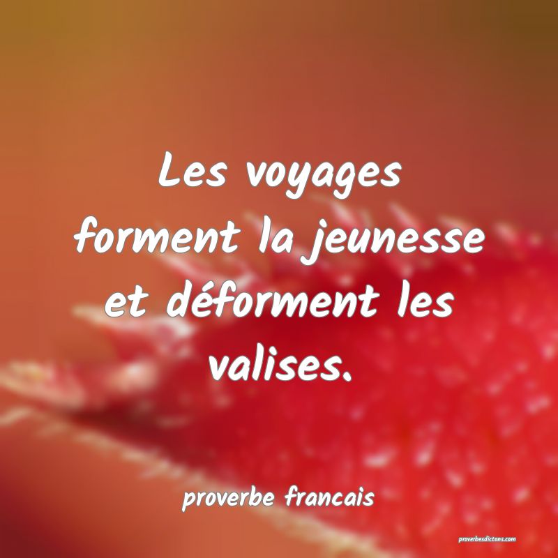  Les voyages forment la jeunesse et déforment les valises.