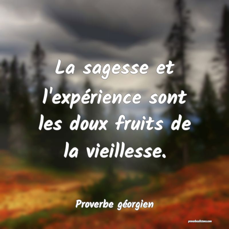 La sagesse et l'expérience sont les doux fruits de la vieillesse.