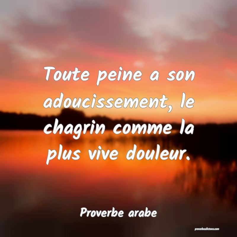 Toute peine a son adoucissement, le chagrin comme la plus vive douleur.