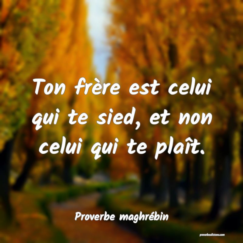 Ton frère est celui qui te sied, et non celui qui te plaît.