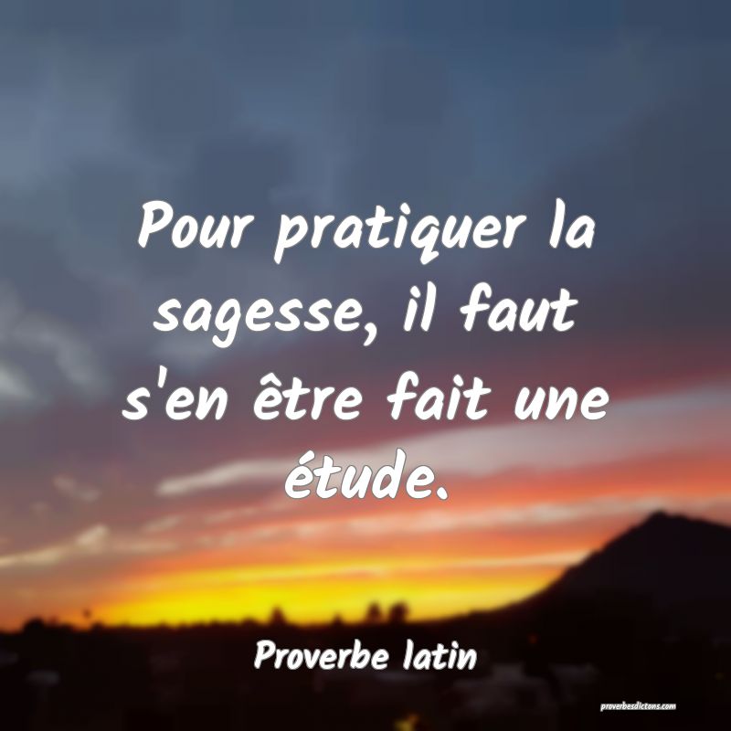Pour pratiquer la sagesse, il faut s'en être fait une étude.