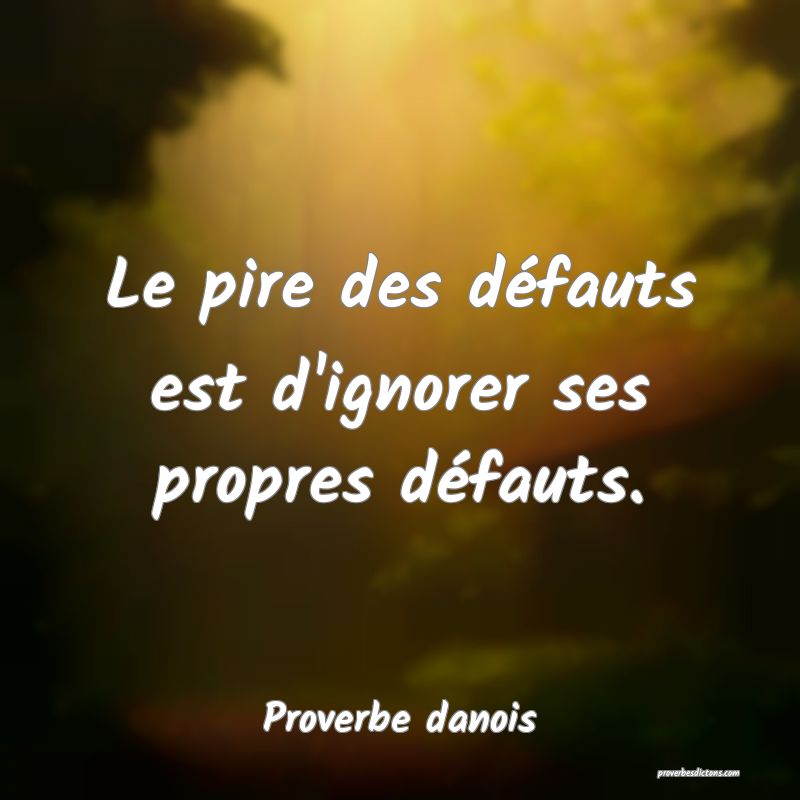 Le pire des défauts est d'ignorer ses propres défauts.
