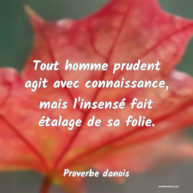 Tout homme prudent agit avec connaissance, mais l'insensé fait étalage de sa folie.