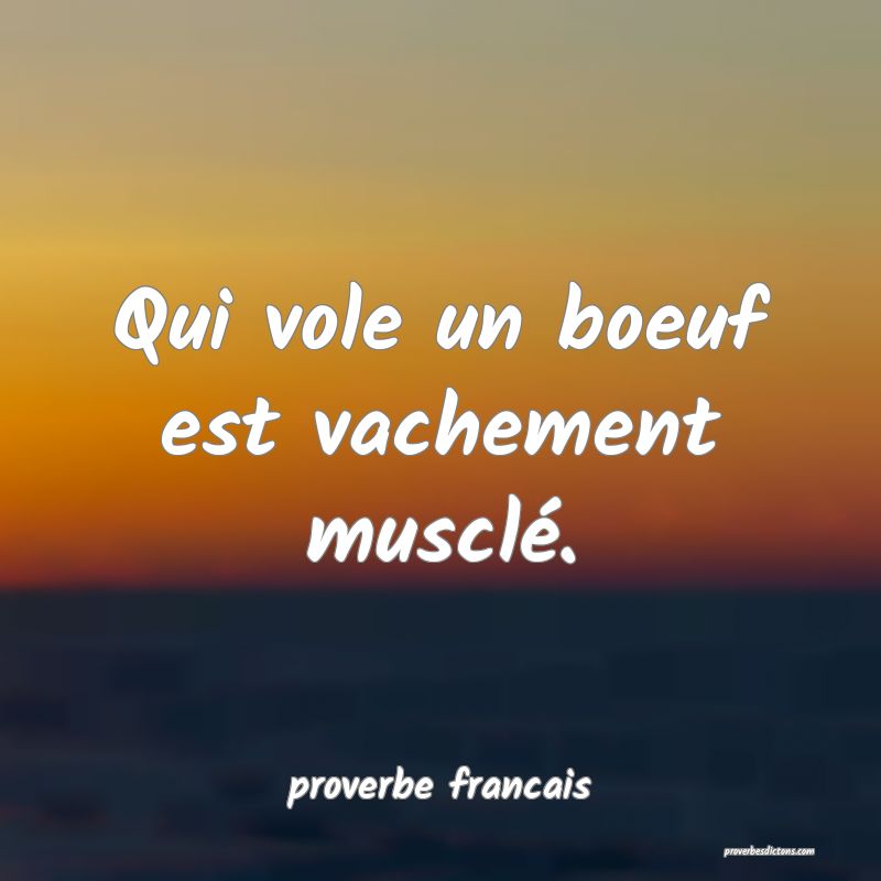  Qui vole un boeuf est vachement musclé.