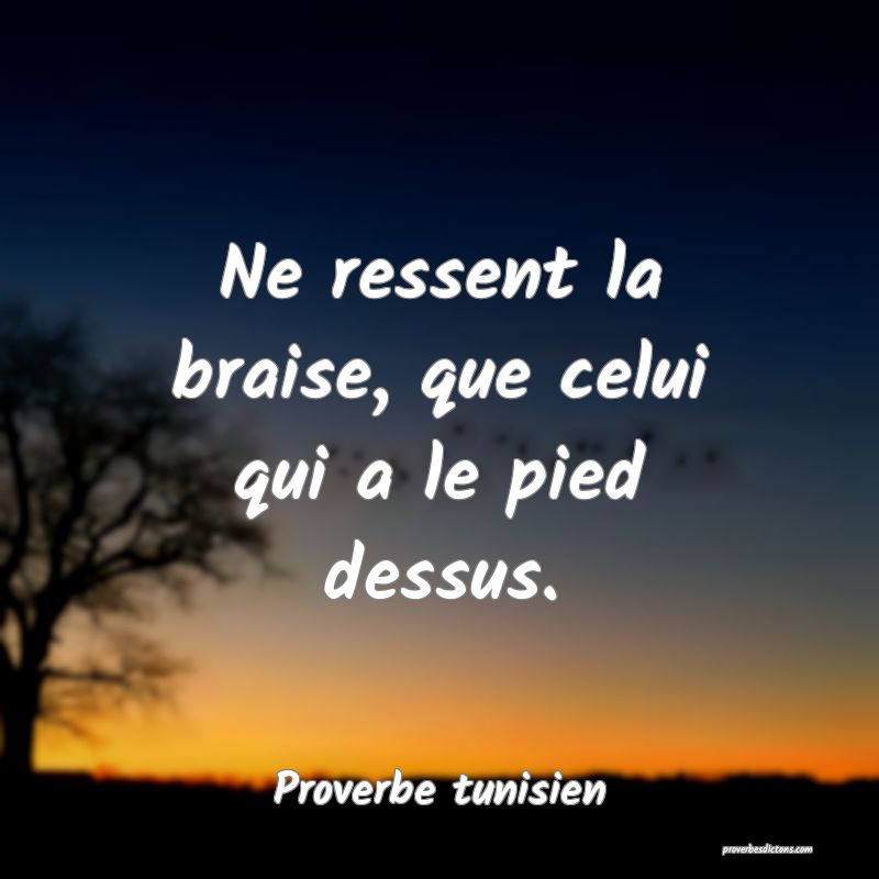 Ne ressent la braise, que celui qui a le pied dessus.