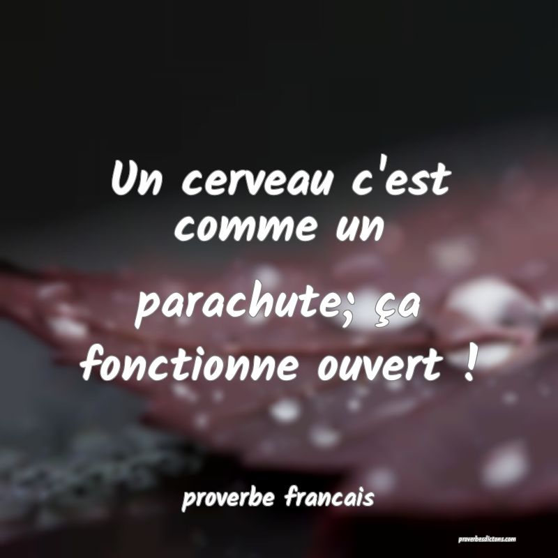 Un cerveau c'est comme un parachute; ça fonctionne ouvert !