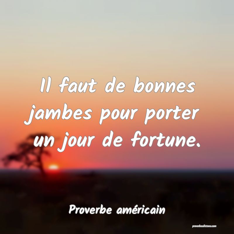 Il faut de bonnes jambes pour porter un jour de fortune.