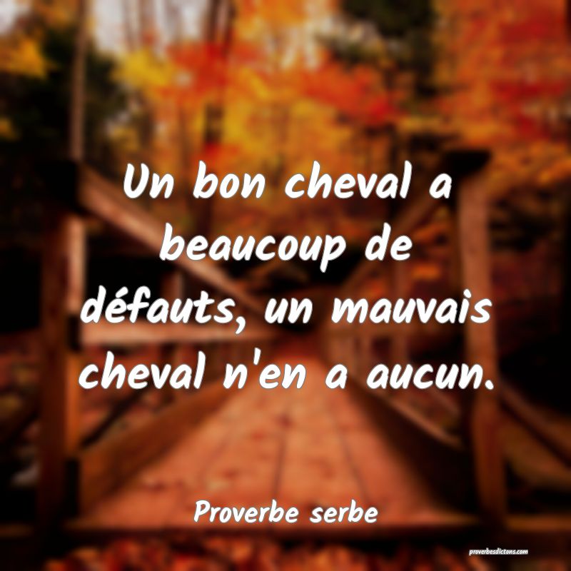Un bon cheval a beaucoup de défauts, un mauvais cheval n'en a aucun.