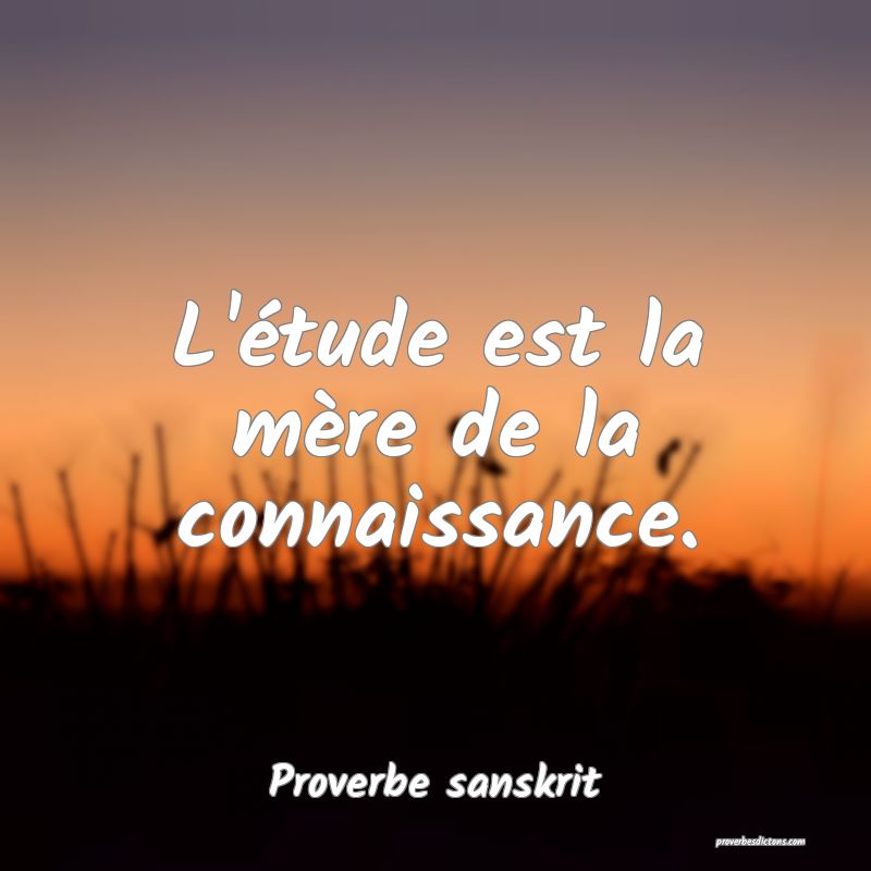 L'étude est la mère de la connaissance.