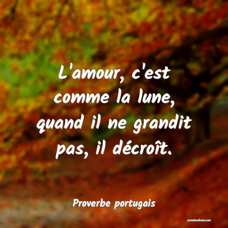 L'amour, c'est comme la lune, quand il ne grandit pas, il décroît.