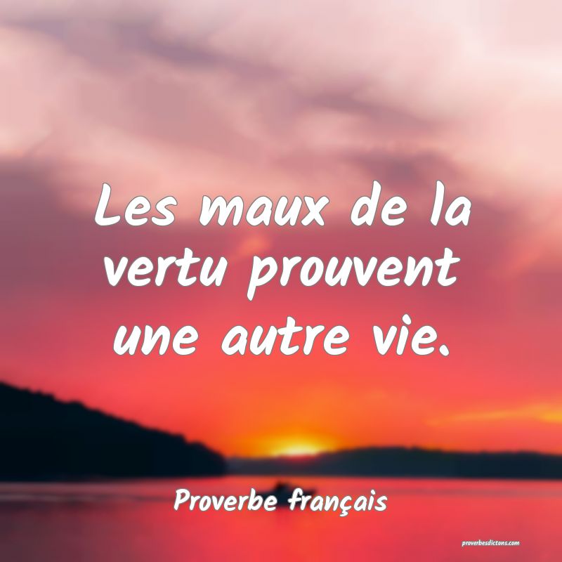 Les maux de la vertu prouvent une autre vie.