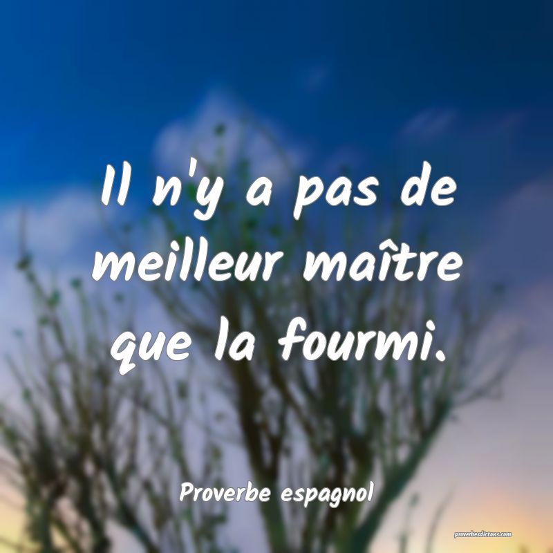 Il n'y a pas de meilleur maître que la fourmi.