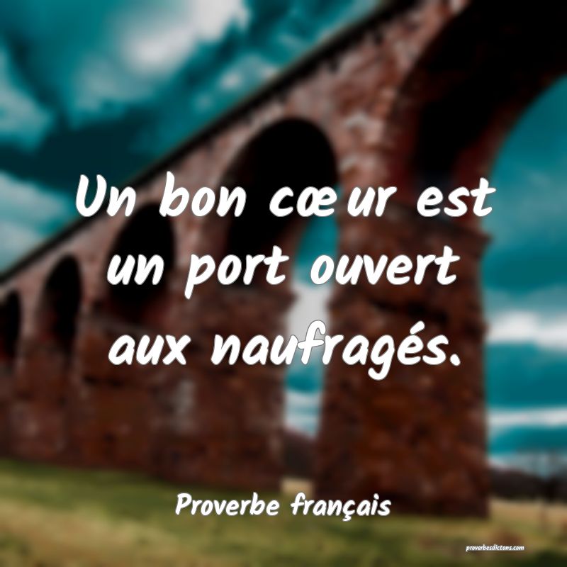 Un bon cœur est un port ouvert aux naufragés.